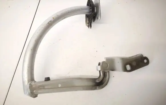 Volkswagen PASSAT B6 Tailgate/trunk/boot hinge 3c5827302