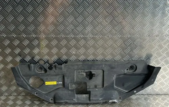 Engine bonnet/hood lock trim molding