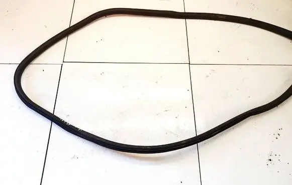 Opel Insignia A Rubber seal front coupe door