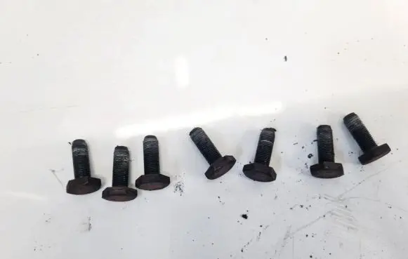 Dacia Sandero Nuts/bolts 