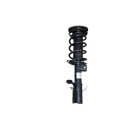 Ford Bronco Front shock absorber with coil spring N1PC18045AAC LX613K155CNB LX615310FNF