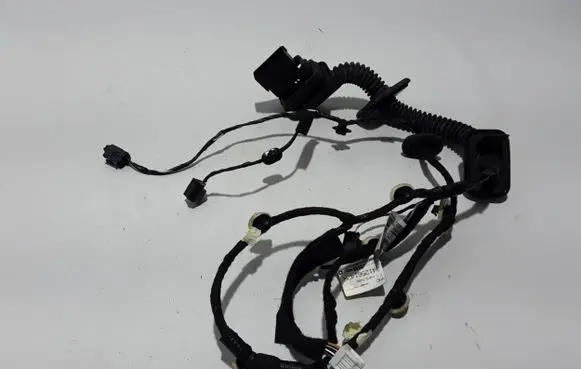 Dacia Sandero III Other wiring loom 241256142R