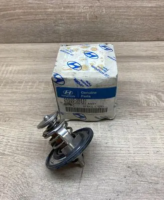 Hyundai Grandeur Thermostat 2550035531