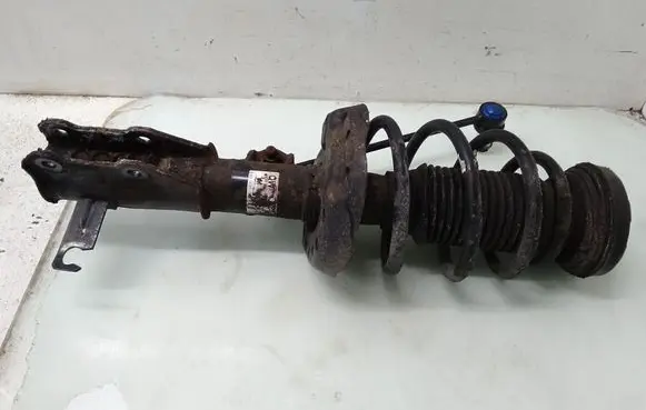 Opel Insignia A Front shock absorber with coil spring 