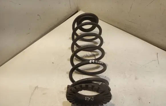 Rear coil spring