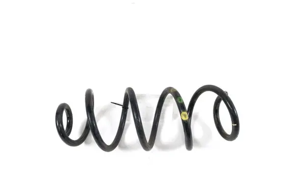 Dacia Sandero III Rear coil spring 550207929R
