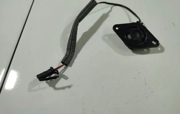 Front door speaker