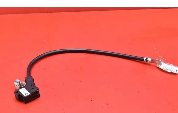 BMW 5 F10 F11 Other wiring loom 9253082