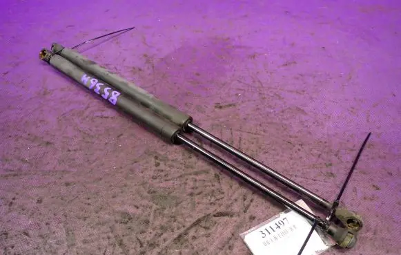 Tailgate strut