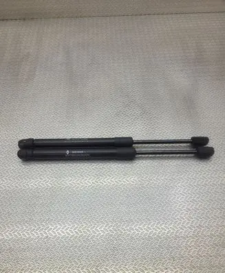 Dacia Spring Tailgate/trunk strut/damper 904504923R 904518452R