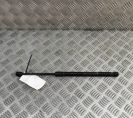 Maserati Levante Front bonnet/hood damper/strut 670033513