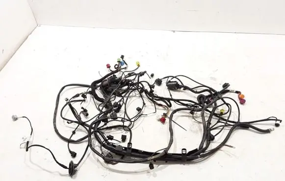 Audi A6 S6 C6 4F Other wiring loom 4F0971109BR