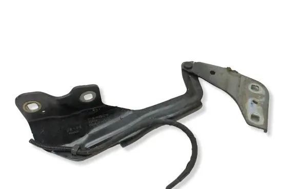 Ford Edge II Engine bonnet/hood hinges FT4BR16800A FZPMA