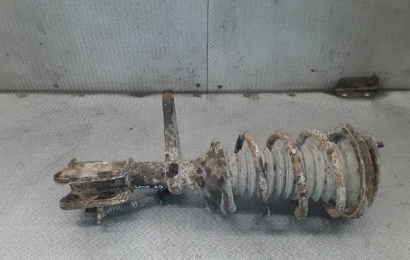 Land Rover Freelander Front shock absorber with coil spring