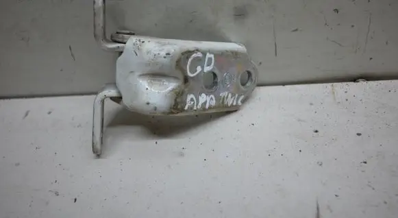 KIA Niro Rear door lower hinge