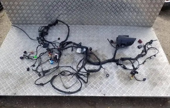 Cupra Born Engine installation wiring loom 1EA927903AE TAB016490BD