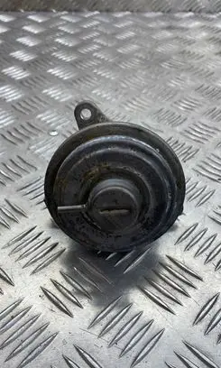Chrysler Grand Voyager V EGR valve 49002022F