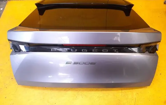 Peugeot 3008 III Truck tailgate 1111
