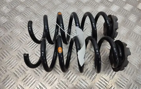Rear coil spring