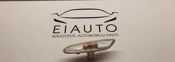 Front fender indicator light