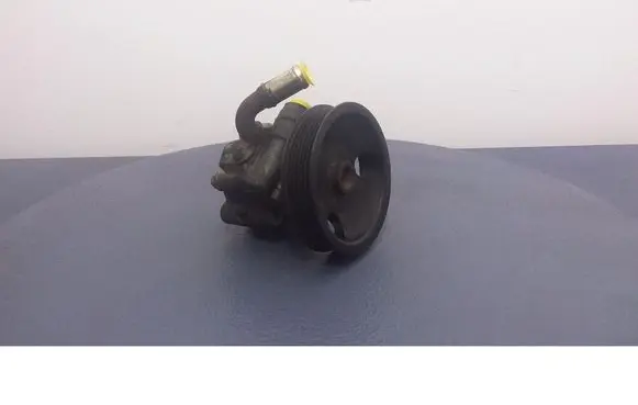 Dodge Magnum Power steering pump 04892093AA