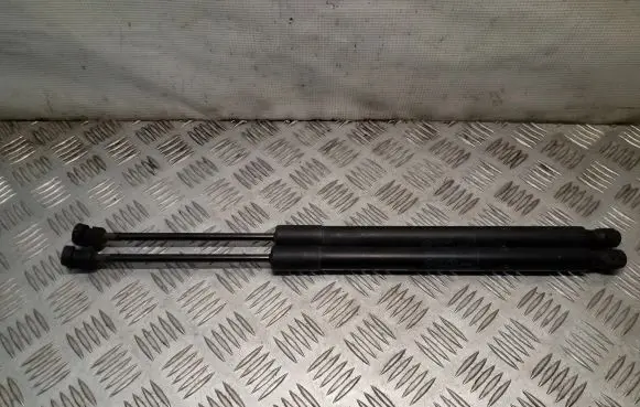 Opel Meriva B Tailgate/trunk strut/damper 13338367