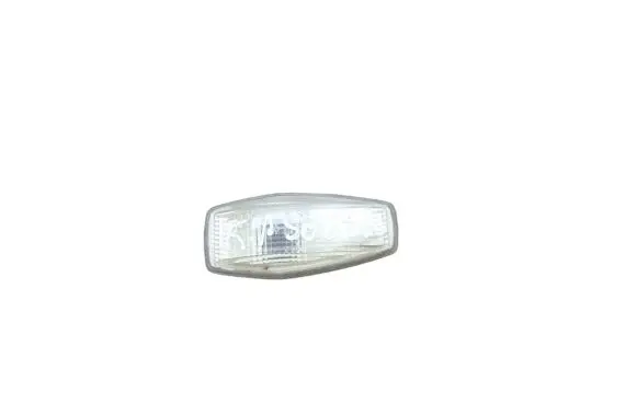 Front fender indicator light