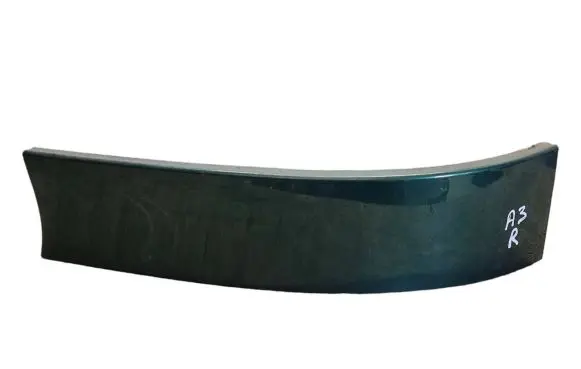 Rear/tail light trim molding