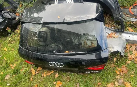 Tailgate/trunk/boot lid