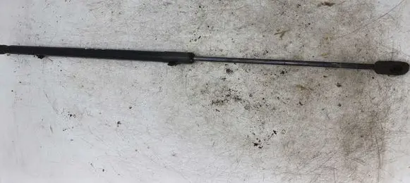 Volkswagen Touareg I Front bonnet/hood damper/strut 4238RR 0125N349