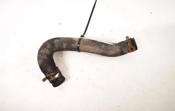 Renault Scenic I Engine coolant pipe/hose