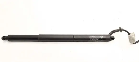 Tailgate/trunk strut/damper