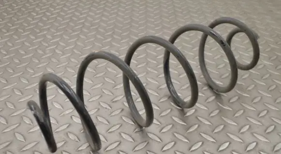 Rear coil spring