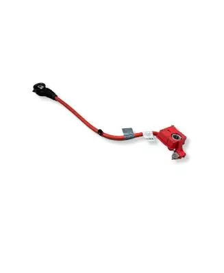 BMW 5 F10 F11 Positive cable (battery) 9217034 9217036 EEZ17Z