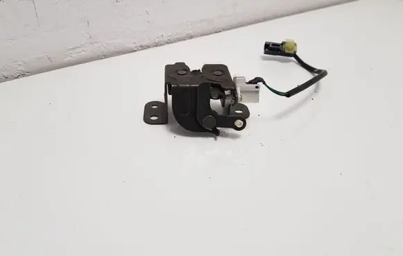 Hyundai Santa Fe Tailgate/trunk/boot lock/catch/latch
