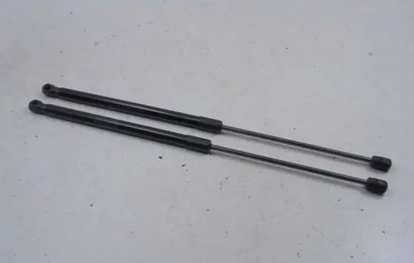 Tailgate strut