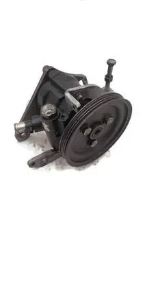 Fiat Punto (176) Power steering pump 26044892FA 46413332