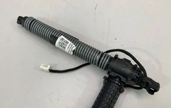 Tailgate strut