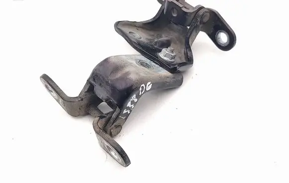 Hyundai Santa Fe Rear door hinge set 