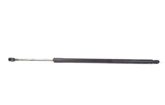 Tailgate strut
