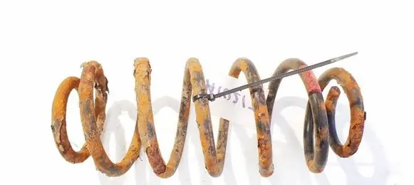 Rear coil spring