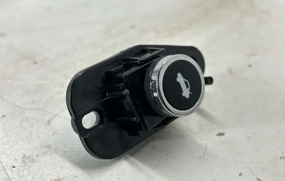 Dodge Charger Tailgate opening switch 68141864AA 10094024