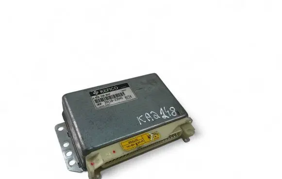 Hyundai Elantra Engine control unit/module ECU 3911023945