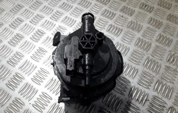 Peugeot 407 Fuel filter 9645928180