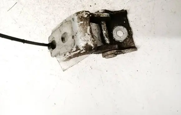 Renault Megane III Rear door lower hinge