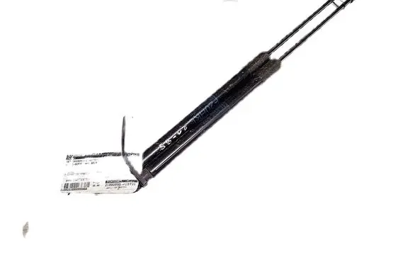 Tailgate/trunk strut/damper