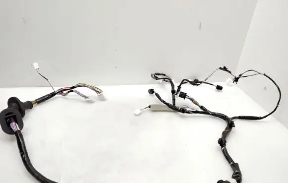 Front door wiring loom