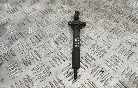 Citroen C5 Fuel injector 9688438580