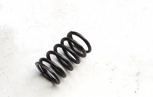 Volkswagen PASSAT B6 Valve spring 