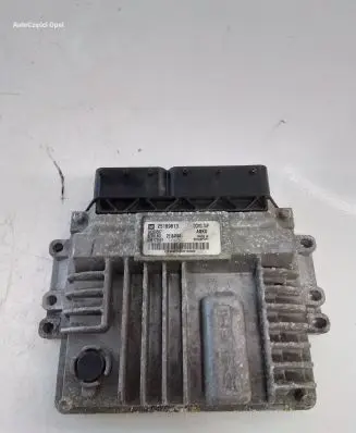 Opel Antara Engine control unit/module 25189813 25184894 28359587